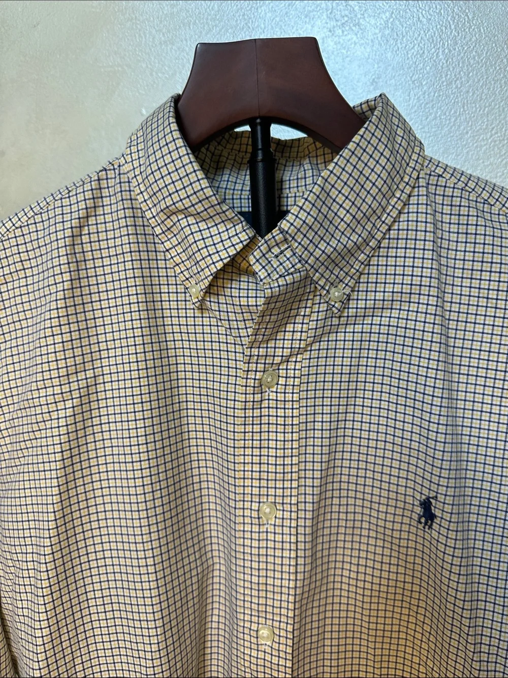 Polo by Ralph Lauren Blue and White Check Button-Down Shirt